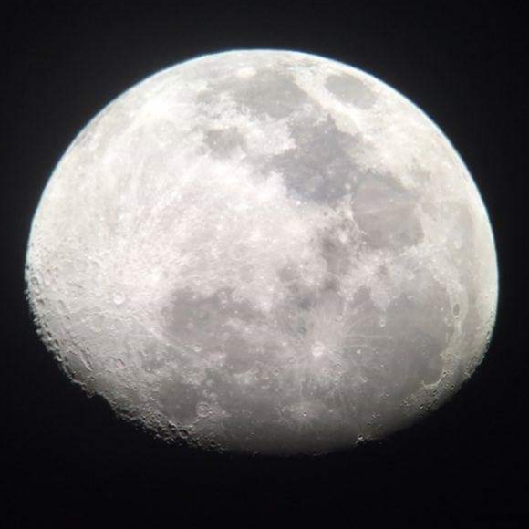 Meet your Posher, Kristen - Picture 3 of 4